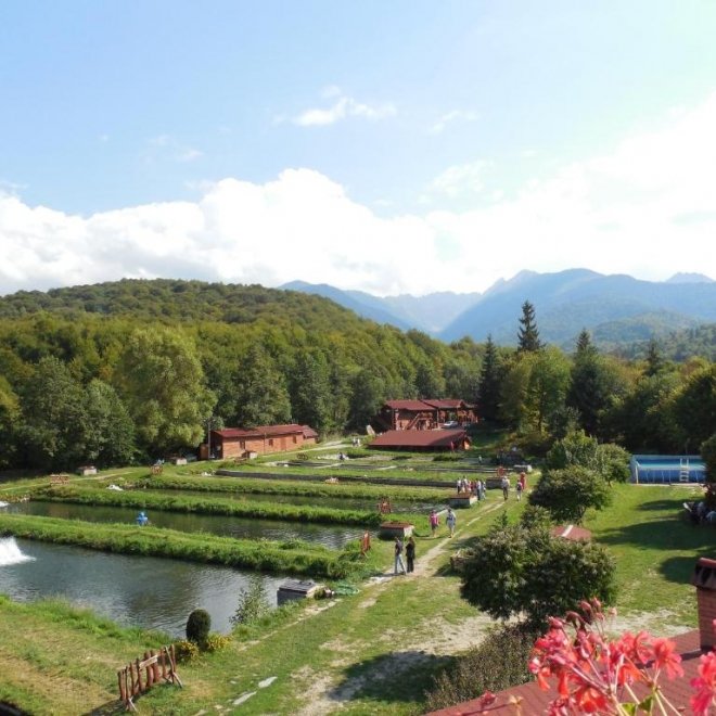 OFERTA 1+1 Gratis: Excursie de o zi - 31 august, Brambura Park, Ferma de cerbi si Pastravaria Albota