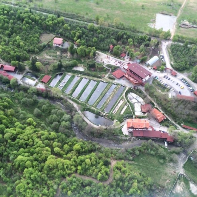 OFERTA 1+1 Gratis: Excursie de o zi - 31 august, Brambura Park, Ferma de cerbi si Pastravaria Albota